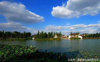 中國(guó)千強(qiáng)鎮(zhèn)前十強(qiáng) 被江蘇 廣東兩省瓜分殆盡,浙江無一入圍