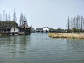 去了江蘇,不可錯(cuò)過(guò)的旅游景點(diǎn)