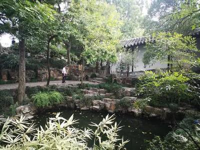國慶黃金周蘇州旅游市場繁榮，沙家浜接待游客700萬人次創佳績