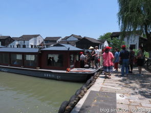 蘆葦蕩里憶崢嶸，水鄉澤國覓野趣——沙家浜濕地公園紀行