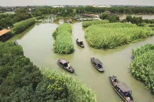 烽火蘆蕩，青春定向 2019首屆華僑城杯沙家浜紅色定向賽邀您啟程