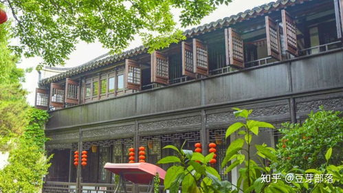 旅行Plog 風起蘆葦蕩，心動沙家浜